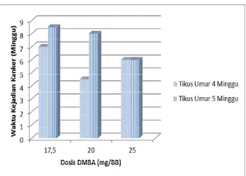 Gambar 2. Lama waktu kejadian kanker pada tikus putih pasca induksi DMBA . 