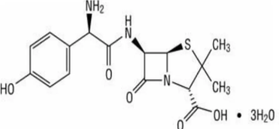 Gambar 2.2 Rumus bangun amoksisilin (Ditjen POM, 1995)  b.  Rumus molekul: C 16 H 19 N 3 O 5 S