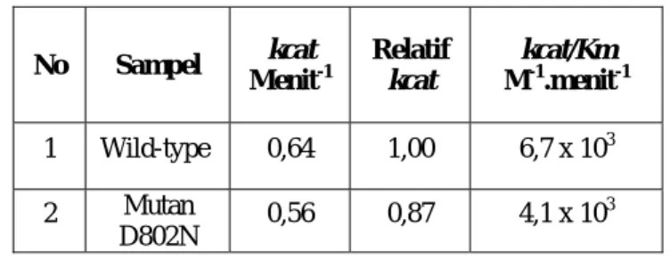 Tabel 2  Parameter kinetika enzim wild-type dan enzim mutan D802N.  No Sampel  kcat  Menit -1 Relatif kcat  kcat/Km M-1.menit -1 1  Wild-type   0,64  1,00  6,7 x 10 3 2  Mutan  D802N  0,56  0,87  4,1 x 10 3 4  Kesimpulan 