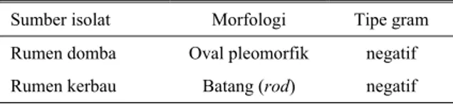 Tabel 1. Identifikasi morfologi dan uji Gram isolat bakteri  (dengan media asetogen pengguna CO) 