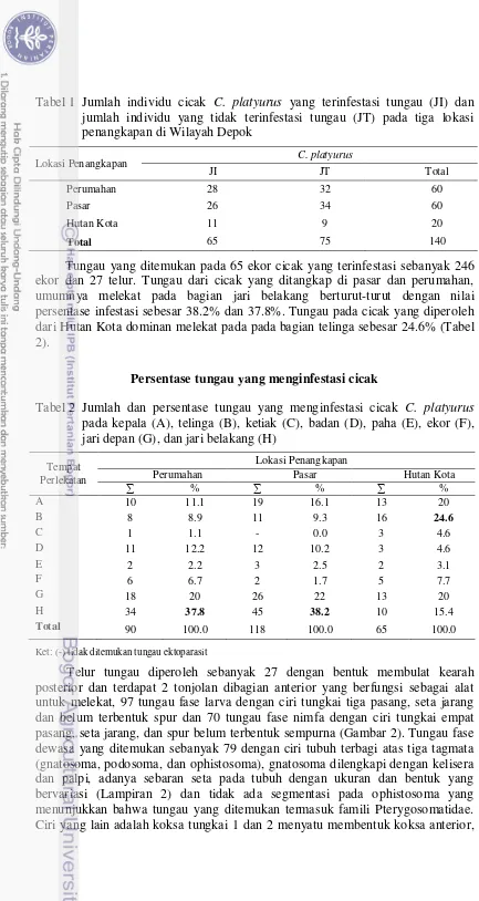 Tabel 1 Jumlah individu cicak C. platyurus yang terinfestasi tungau (JI) dan 