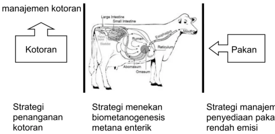 Gambar 28. Diagram prinsip strategi mitigasi metana enterik 