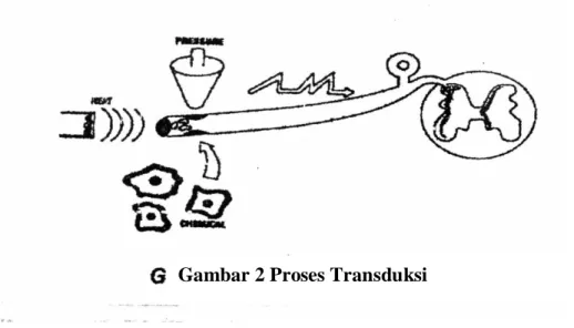 Gambar 2 Proses Transduksi 