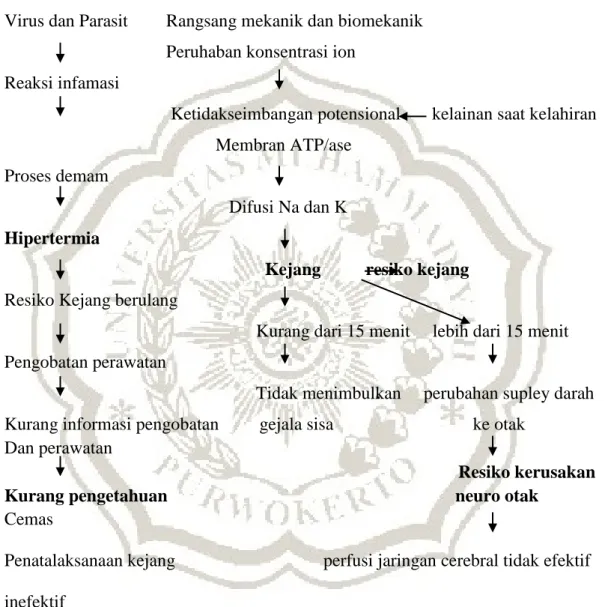 Gambar 2.1 Pathwai kejang demam sederhana  Infeksi bakteri      