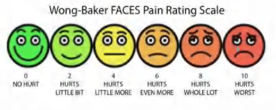 Gambar 2.4 The Face Pain Scale