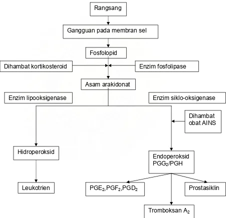Gambar 2.3. Biosintesis Prostaglandin               