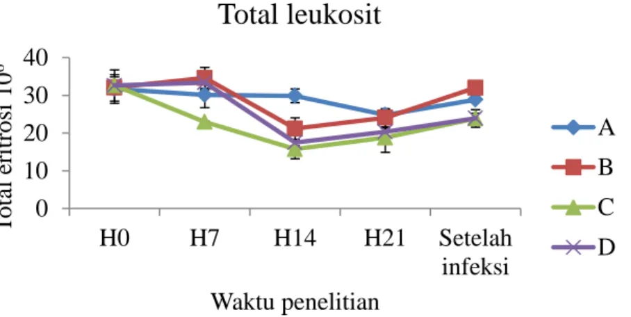 Gambar 2. Grafik total leukosit selama 21 hari dan 4 hari setelah infeksi 