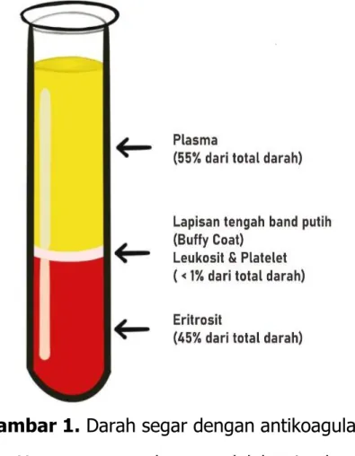 Gambar 1. Darah segar dengan antikoagulan   Unsur  utama  plasma  adalah  air  dengan  bahan  terlarut  seperti  protein  plasma  terutama  albumin,  kekebalan  tubuh  (globulin),  elektrolit,  faktor  pembekuan  darah  dan  zat  terlarut  lain