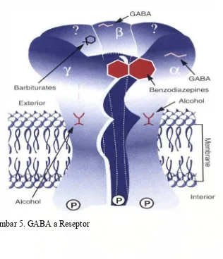 Gambar 5. GABA a Reseptor 