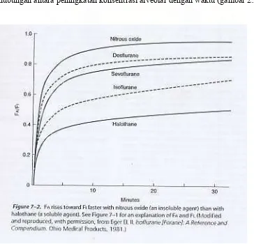 Gambar 2.2. Kurva hubungan antara peningkatan konsentrasi alveolar vs waktu 8