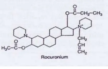 Gambar 2.1 Rumus Kimia Rocuronium 