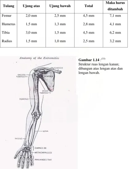 Gambar 1.14 :Struktur ruas lengan kanan; 