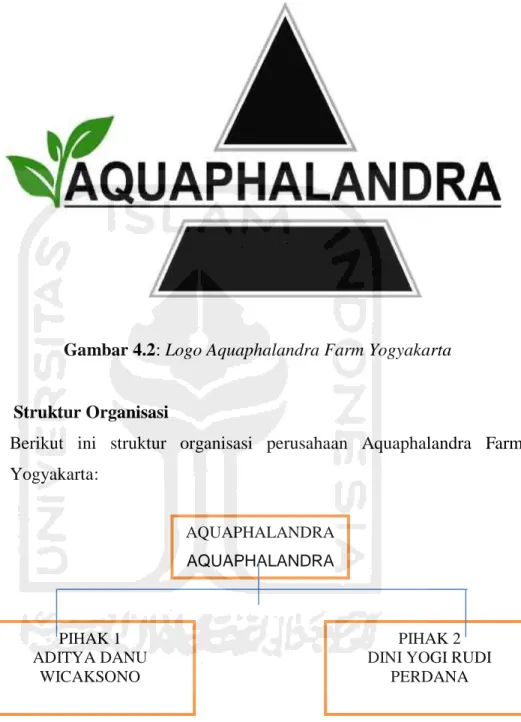 Gambar 4.2: Logo Aquaphalandra Farm Yogyakarta 
