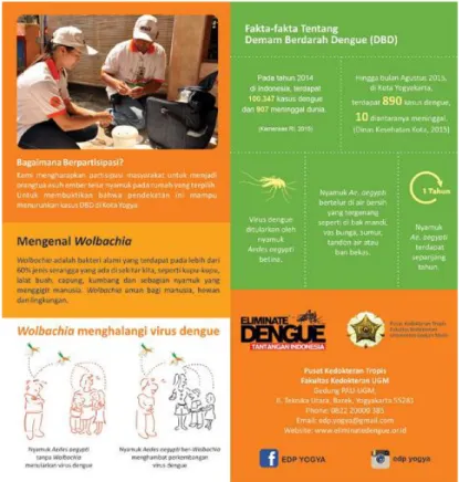 Gambar 3.5 Fakta fakta tentang DBD  Sumber  brosur elliminate dengue project 