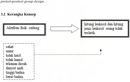 Gambar 2. Skema Kerangka Konsep Pengaruh Aktifitas Fisik Sedang terhadap Hitung Leukosit dan Hitung Jenis Sel Leukosit 