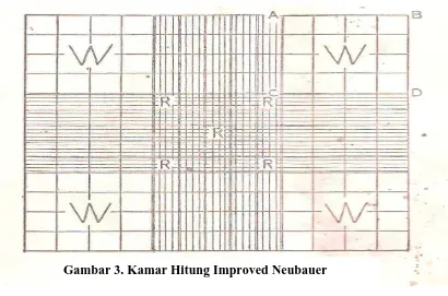 Gambar 3. Kamar Hitung Improved Neubauer 