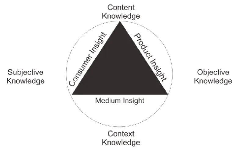 Gambar 1.3 Model Segitiga Insight 