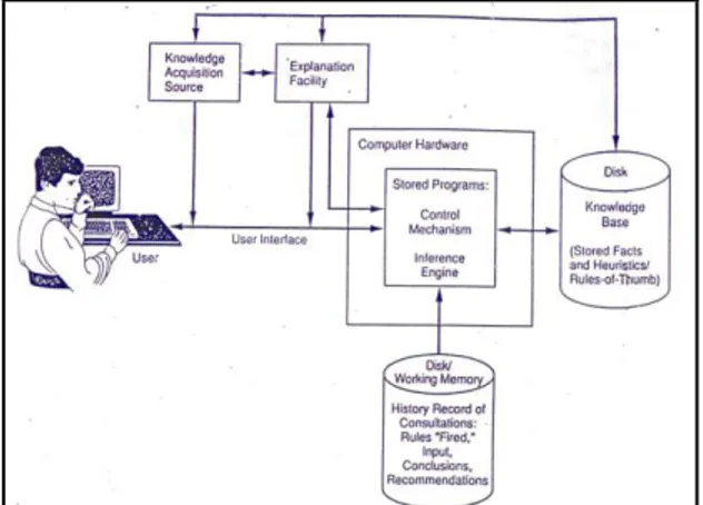 Gambar 1. Bagan Sistem Pakar (Expert System)  Metode Forward Chaining 