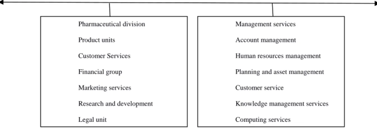 Gambar 2.5 Relational and operational knowledge map of a pharmaceutical firm  (Debowski, 2006, p.185) 