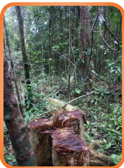 Gambar Perburuan hewan