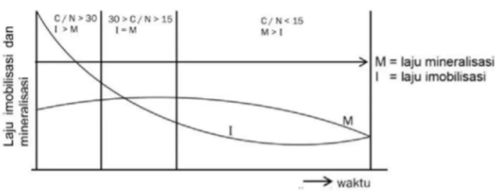 Gambar 2.7 Hubungan antara C/N ratio dan ketersediaan N selama proses dekomposisi residu tanaman