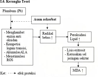 Gambar 1. Bagan kerangka teori efek proteksi asam askorbat terhadap peroksidasi lipid  