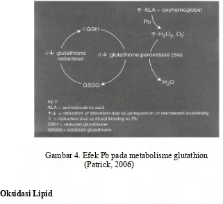 Gambar 4. Efek Pb pada metabolisme glutathion 