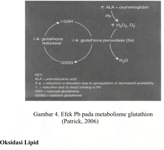 Gambar 4. Efek Pb pada metabolisme glutathion 