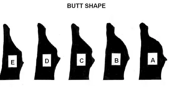 Gambar 2. Standar penilaian konformasi butt shape 