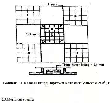 Gambar 3.1. Kamar Hitung Improved Neubauer (Zaneveld et al., 1986) 