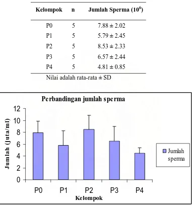 Tabel 4.2. Jumlah Sperma di dalam Suspensi Cauda Epididimis Mencit Jantan Dewasa  
