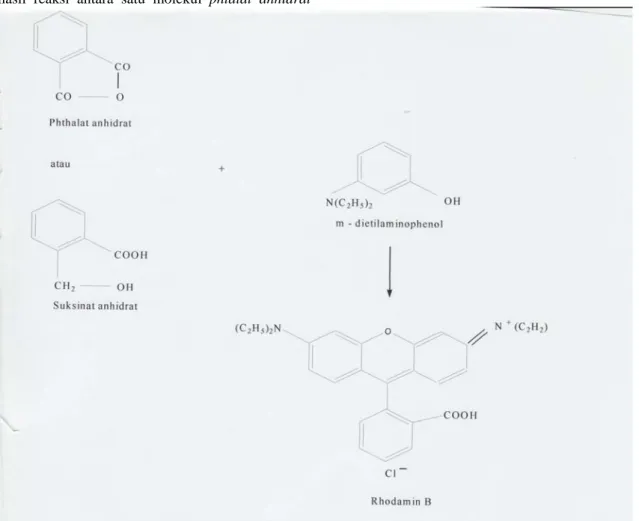 Gambar 3. Reaksi pembentukan rhodamin B (Anggit I, 2006:9) 