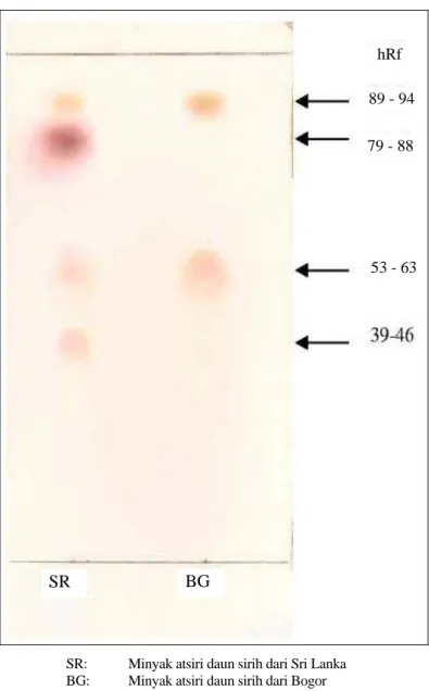 Gambar 1. Kromatogram pasca penyemprotan anisaldehida-asam sulfat yang divisualisasi pada sinar biasa 