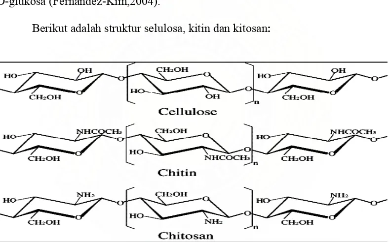 Gambar 3. Struktur Selulosa, Kitin, dan Kitosan (Fernandez-Kim,2004) 