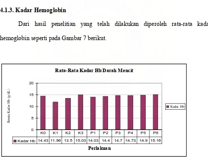 Gambar  7. Grafik Rata-Rata Kadar Hemoglobin Mencit 