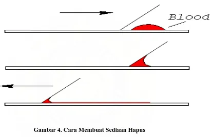 Gambar 4. Cara Membuat Sediaan Hapus 