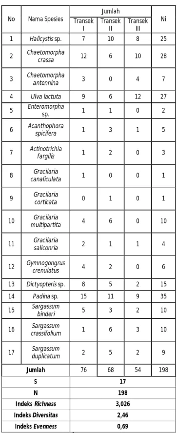 Tabel  1.  Keanekaragaman  jenis  makroalga  di  Pantai Drini   No  Nama Spesies  Jumlah  Transek  Ni  I  Transek II  Transek  III  1  Halicystis sp
