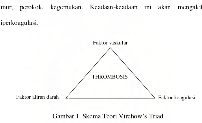 Gambar 1. Skema Teori Virchow’s Triad