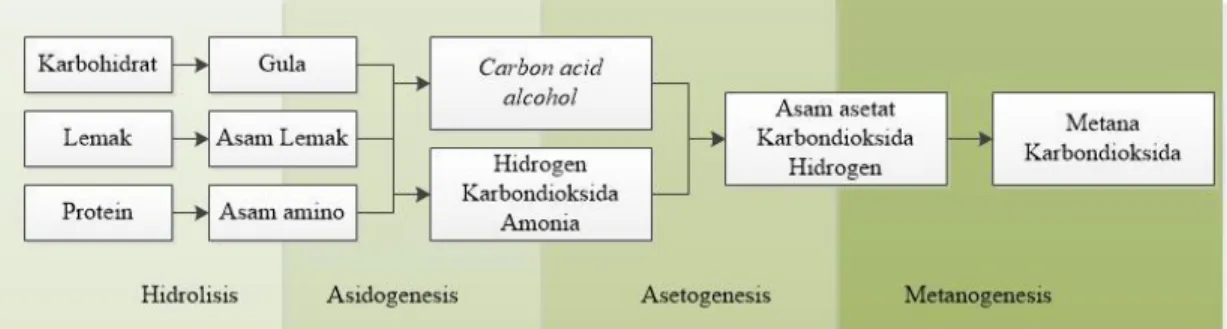 Gambar 2.1 Proses Pembentukan Biogas 