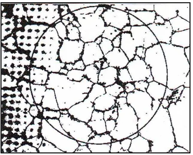 Gambar. 2.10 Foto Struktur untuk Menghitung Diameter Butir dengan Metode Planimetric ( Jeffries )