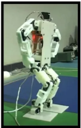 Gambar 1.  Robot penari jaipong 