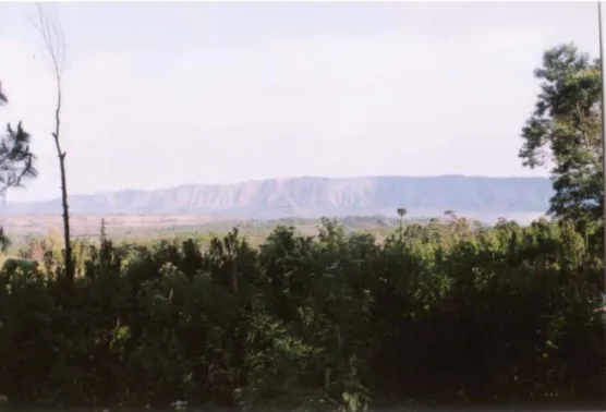 Gambar 1. Dinding Kaldera Ijen bagian utara yang masih dapat dikenali. 