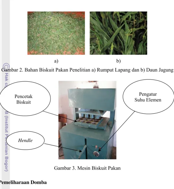 Gambar 3. Mesin Biskuit Pakan  Pemeliharaan Domba 