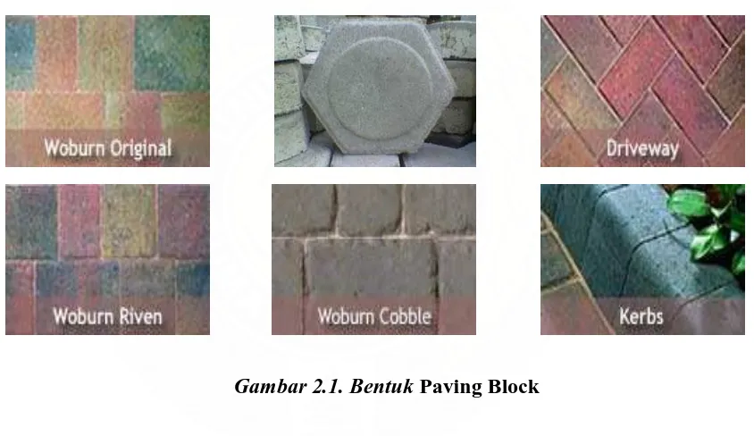 Gambar 2.1. Bentuk Paving Block 