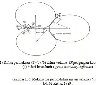 Gambar II.6. Mekanisme perpindahan materi selama sintering  [M.M. Ristic, 1989]. 