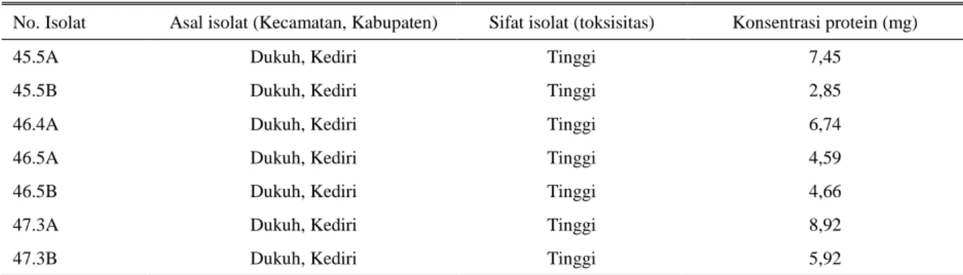 Tabel 1. Isolat lokal B. thuringiensis yang diperbanyak kristalnya dan konsentrasi protein yang diperoleh 
