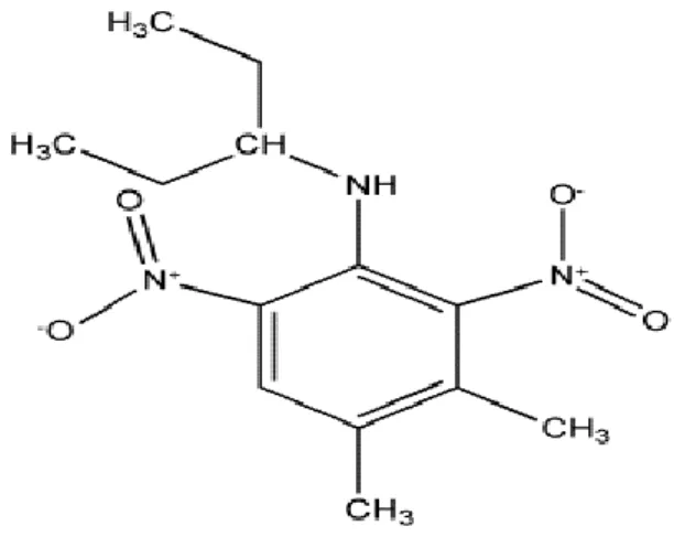 Gambar 2.  Struktur bangun pendimethalin. 