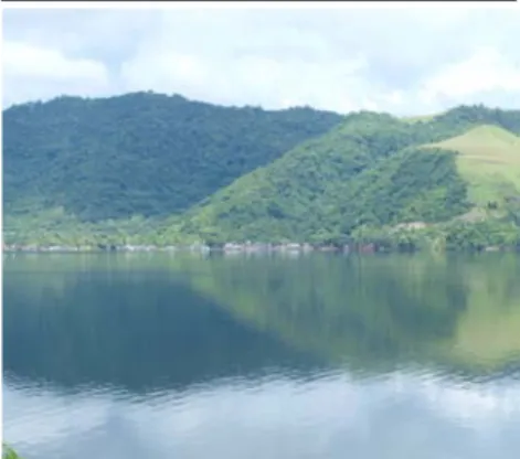Gambar 1. Lokasi Danau Sentani (Google earth)