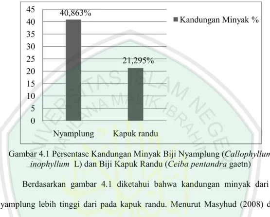 Gambar 4.1 Persentase Kandungan Minyak Biji Nyamplung (Callophyllum  inophyllum  L) dan Biji Kapuk Randu (Ceiba pentandra gaetn) 