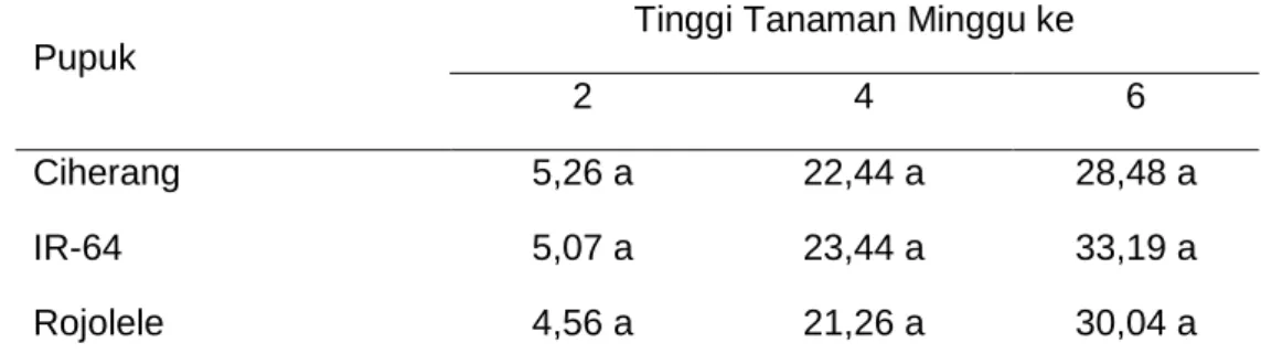 Tabel 4. Purata jumlah anakan  (batang) minggu ke 2, 4, 6 setelah tanam pada perlakuan  macam varietas 